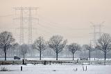 de moer 11-2010 2822