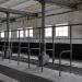 grote hoeve merksplas 03-2011 5880