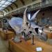 galerie de paleontologie et de anatomie comparee 12-2015 8253