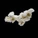 popcorn 12-2010 2851