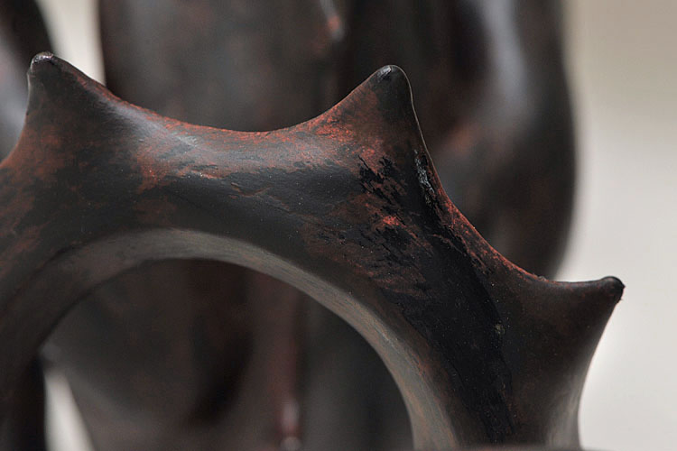 lintworm 11-2012 1282