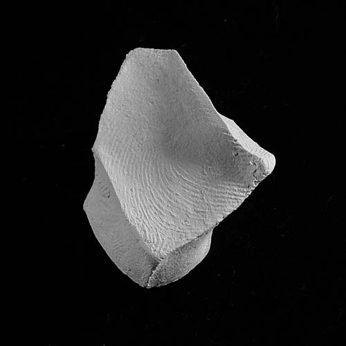 fragment 6953
