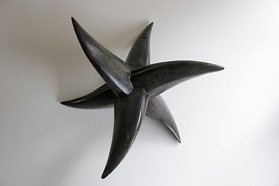 kraaienpoot 82-1