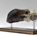 objet 1859-7-18  6608