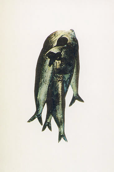 thyatira melanogaris