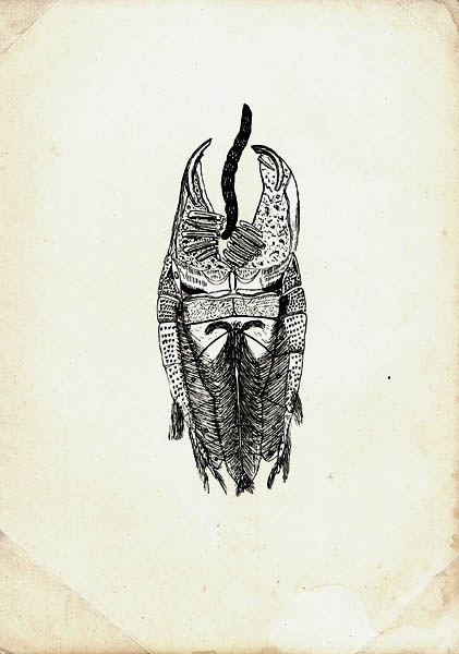 pag. 21