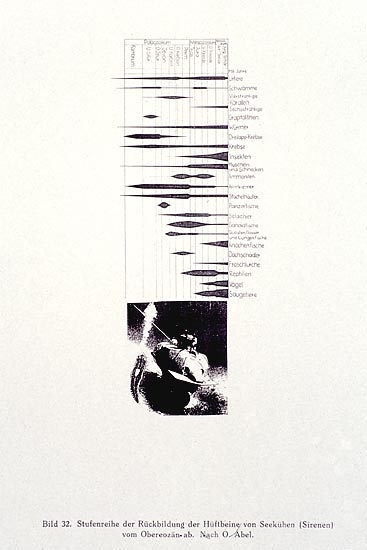 bild 32