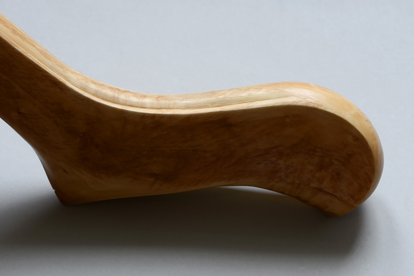 ZGK 3 (femur) 11-2023 9342