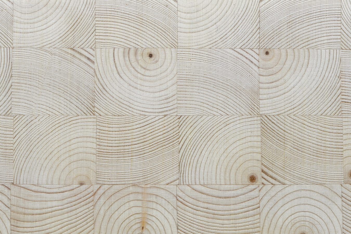 kist zgm 13 9-2024 0788