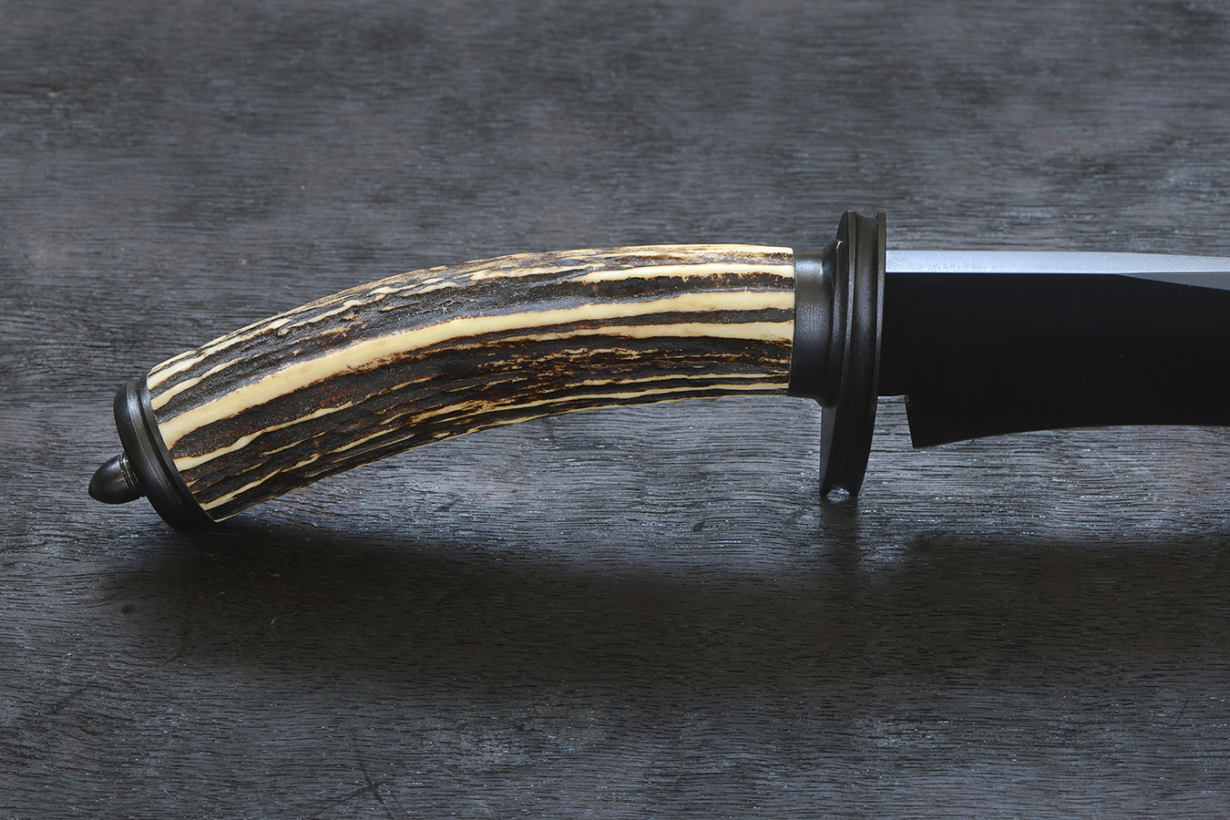 zgm 22 corax 8-2022 5036