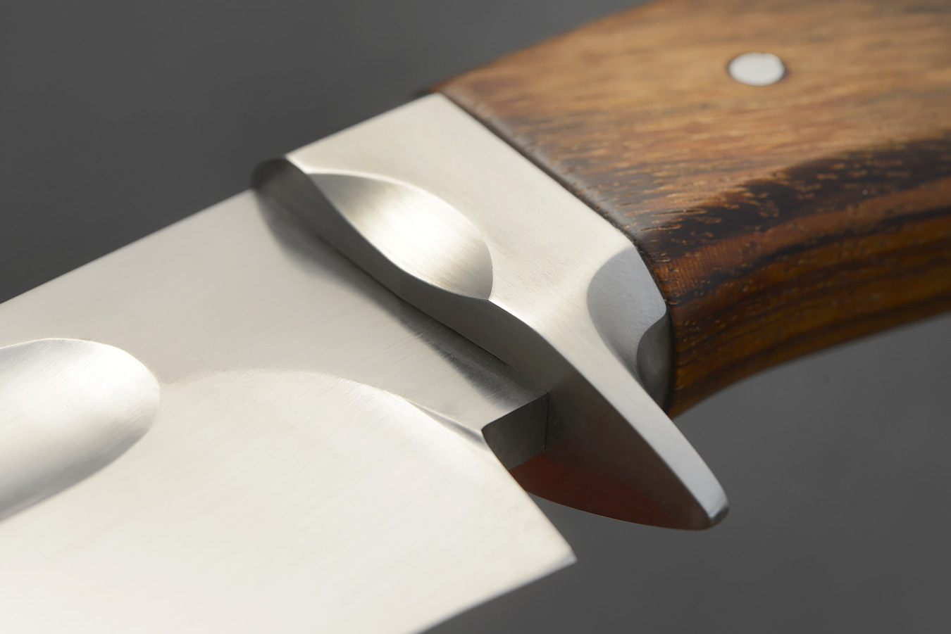 zgm 25 ockham 2-2024 0132