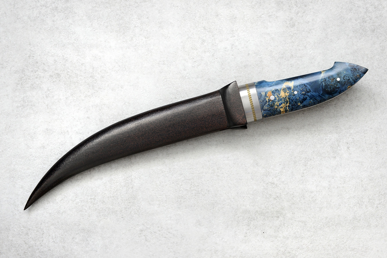 zgm 26 aculeus 6-2024 0622