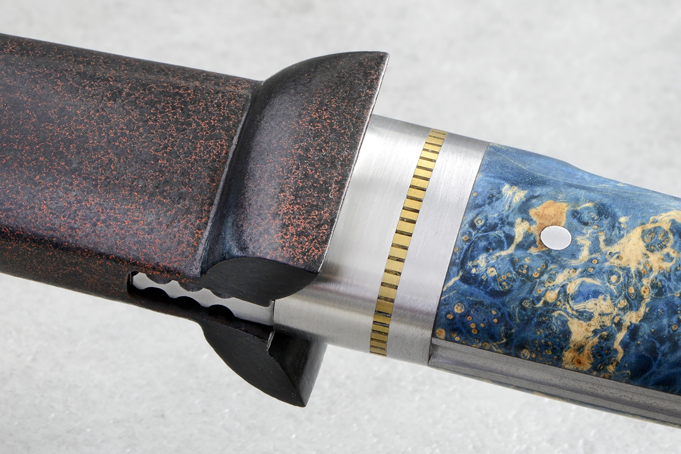 zgm 26 aculeus 6-2024 0634