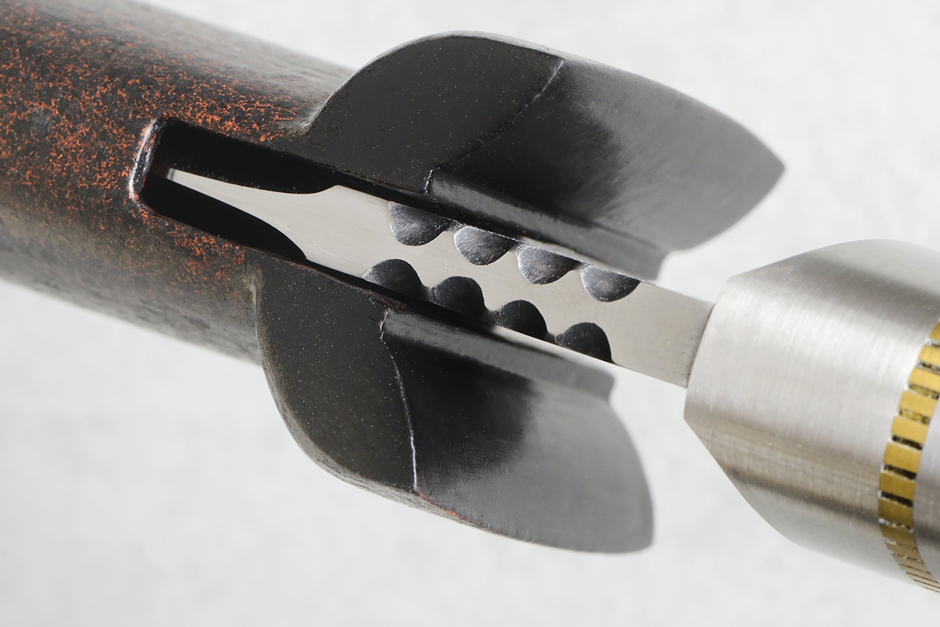 zgm 26 aculeus 6-2024 0637