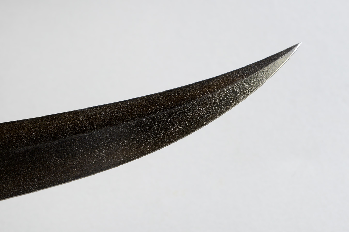 zgm 28 tulipan 5-2025 1955