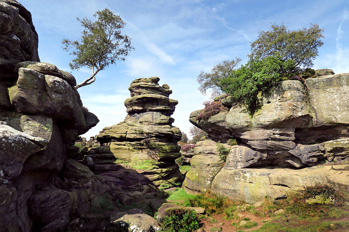 brimham moors 8-2016 3040