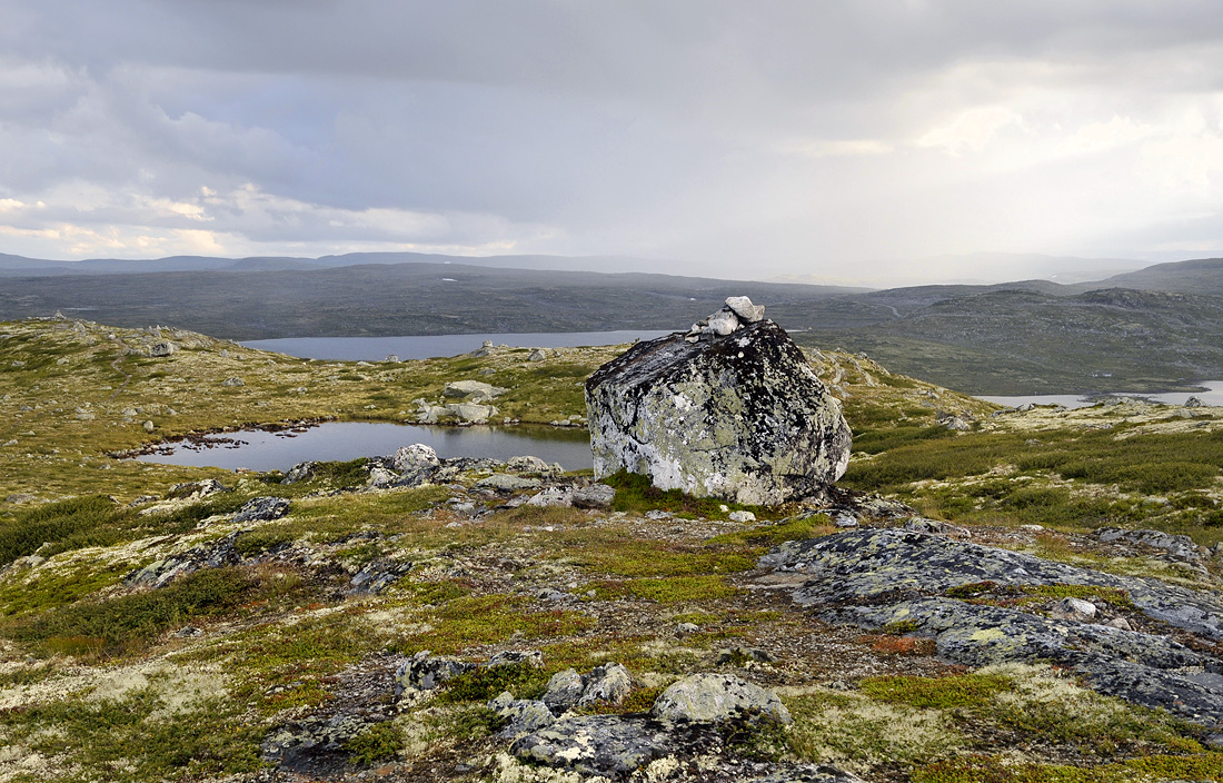 hardangervidda 8-2013 6499