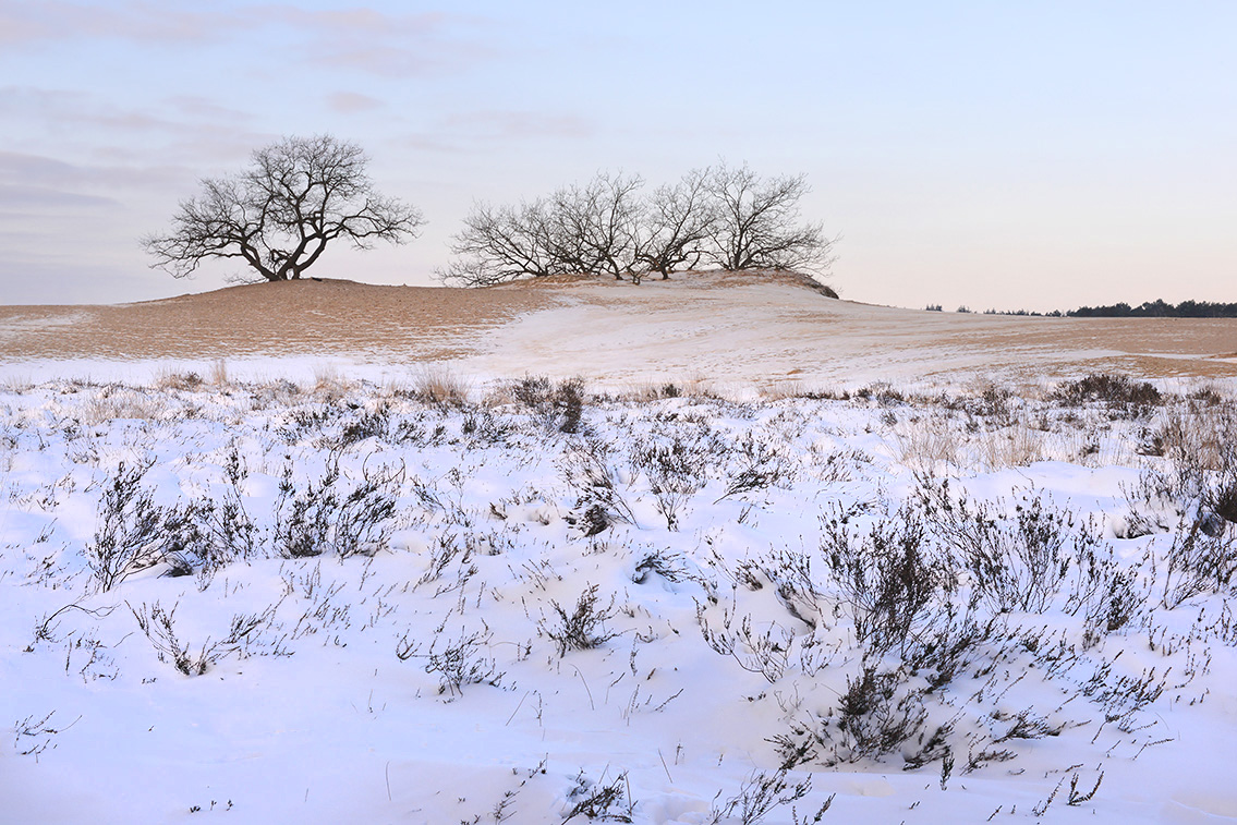 loonse en drunense duinen 2-20215461