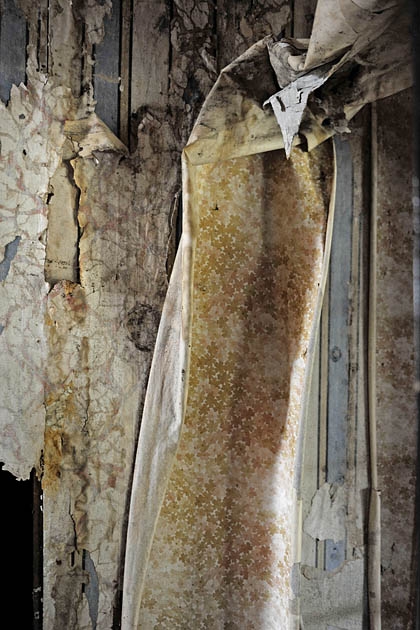 doornstraat wilrijk 10-2010 0670