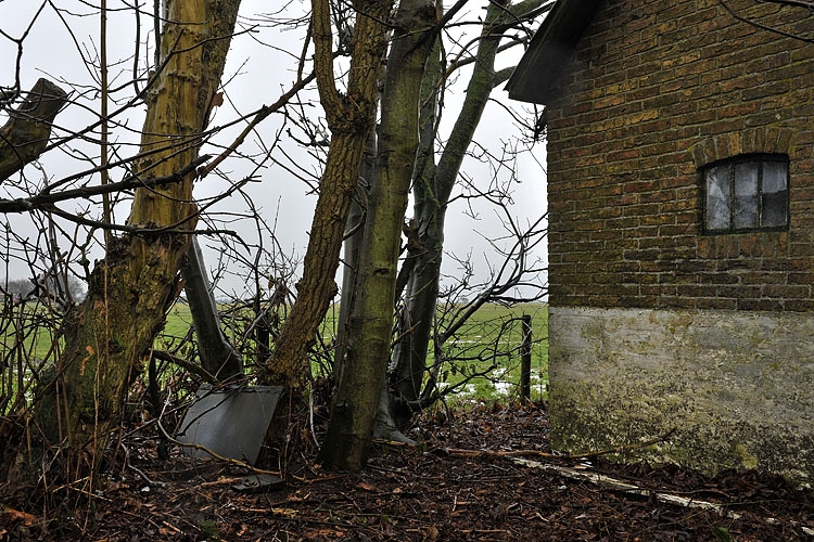 nummer twee 1-2013 2549