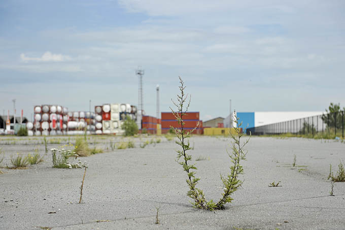 container center antwerpen 07-2011 9492