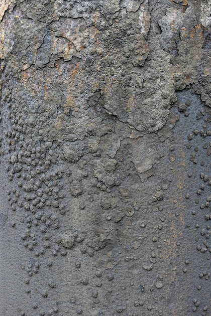 delwaidedok 07-2011 9222