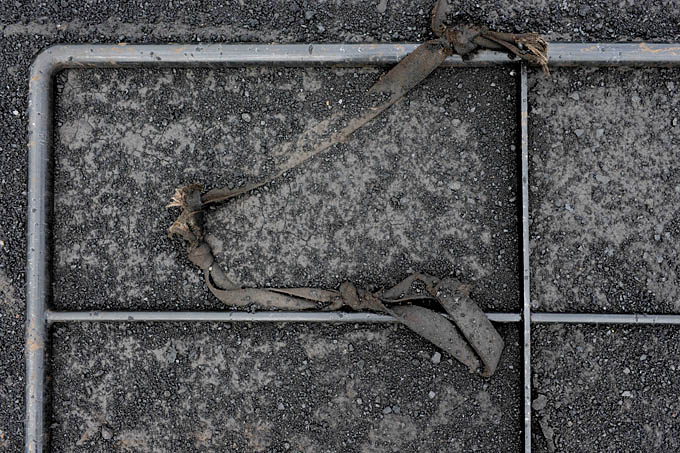 delwaidedok 07-2011 9384