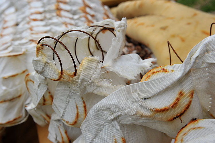 douaneloods essen 3-2013 6169