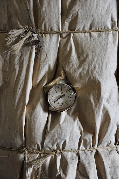 grote hoeve merksplas 03-2011 5909