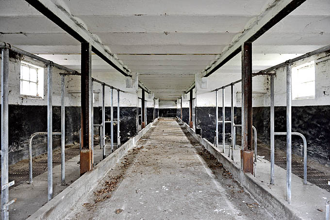 grote hoeve merksplas 03-2011 5931