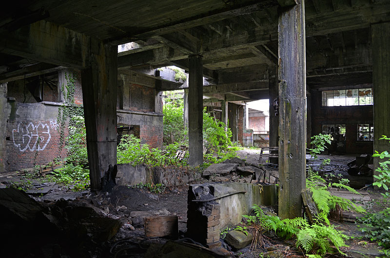 hasard cheratte 6-2013 0261