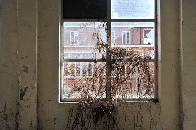 koninklijke lederfabrieken oisterwijk 4-2012 5862