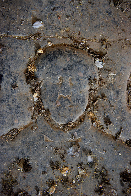 opus 206 9-2012 0221