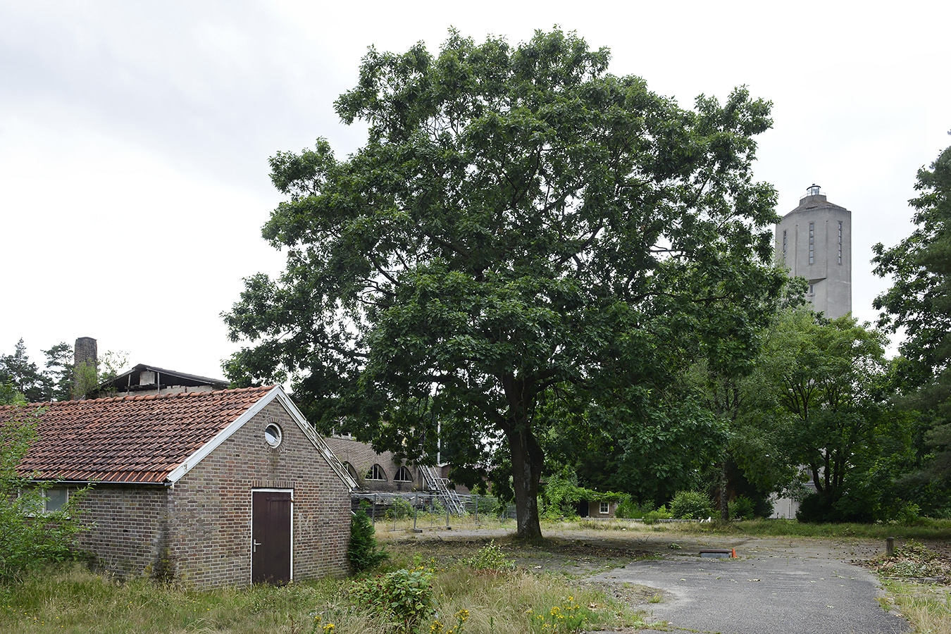 radio kootwijk 7-2023 8455