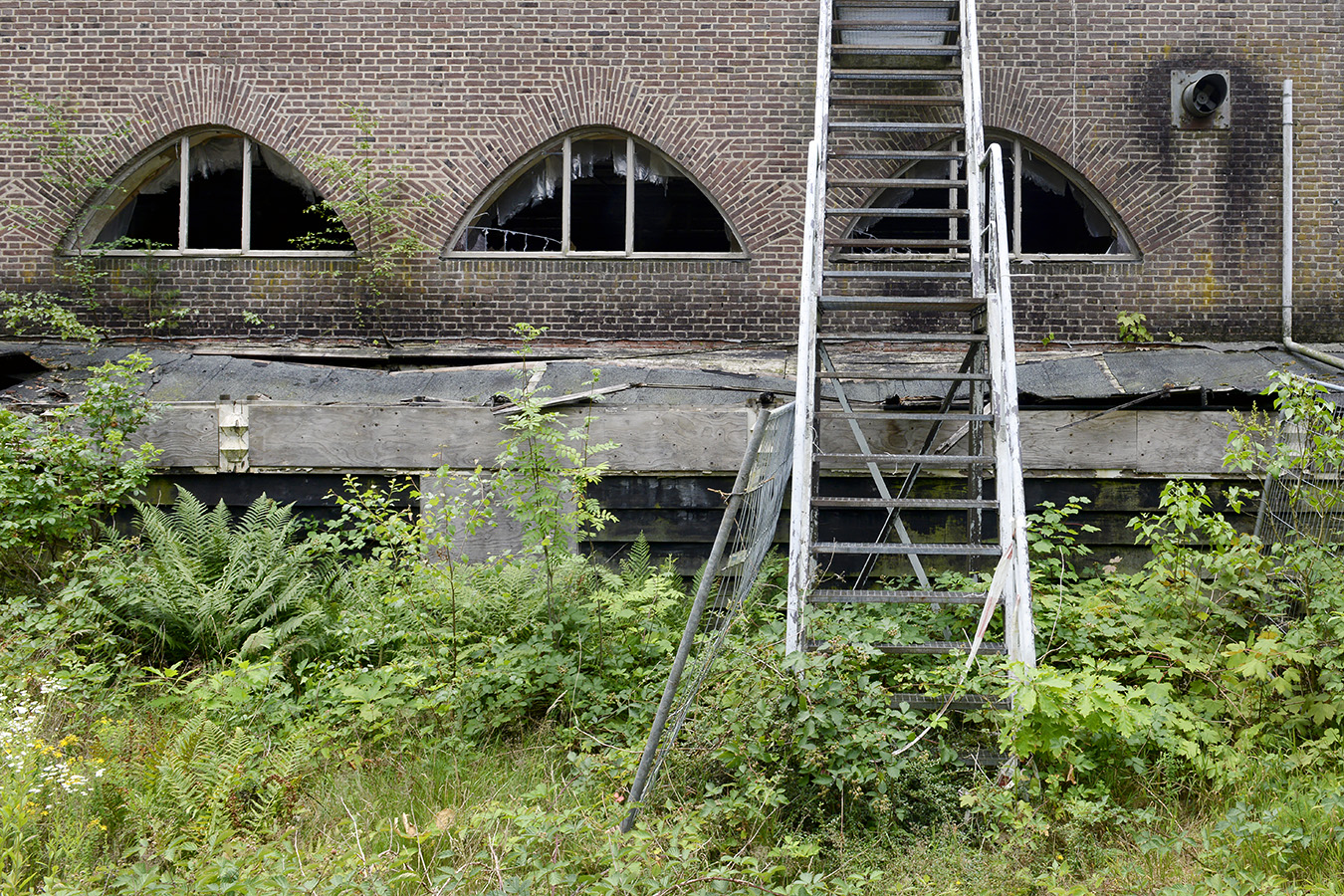 radio kootwijk 7-2023 8459