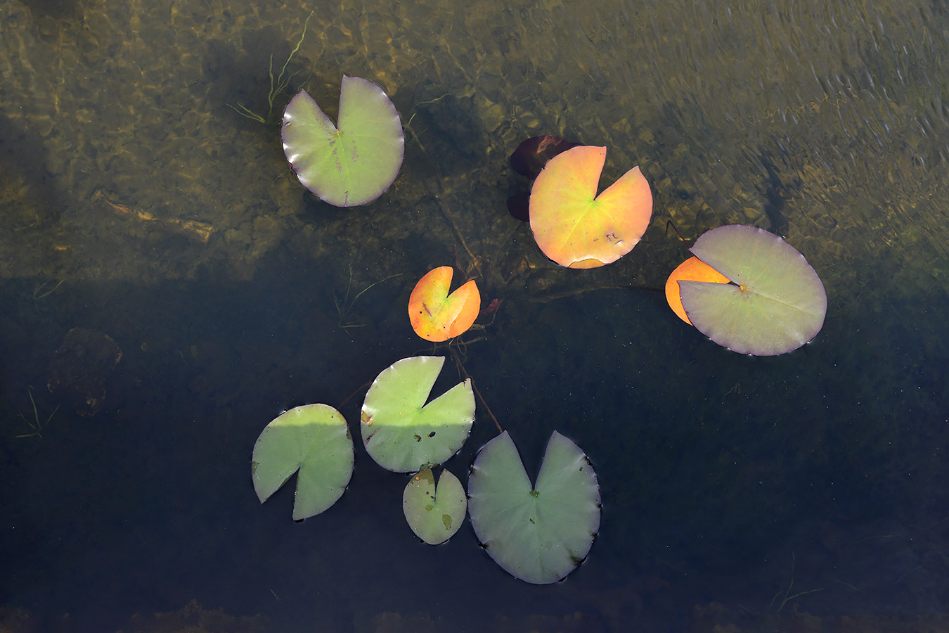 radio kootwijk 7-2023 8695