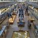 galerie de paleontologie et de anatomie comparee 12-2015 8260
