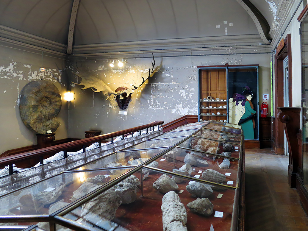 galerie de paleontologie et de anatomie comparee 5-2013 1326