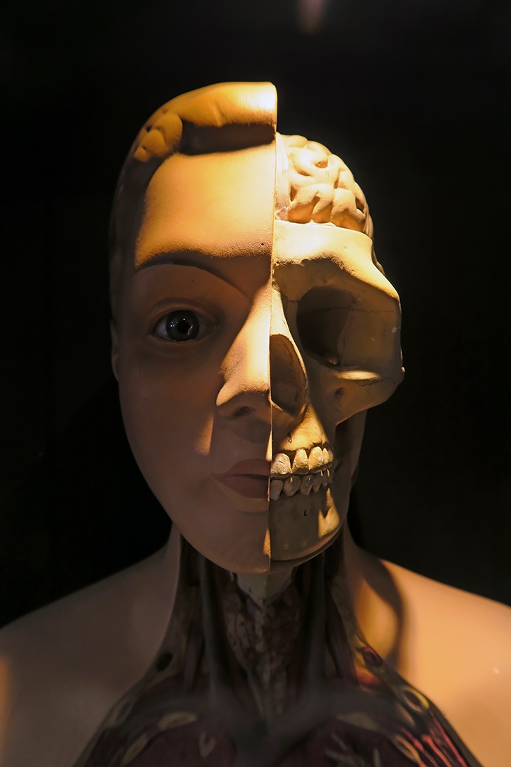 geneeskundemuseum brussel 8-2025 3104