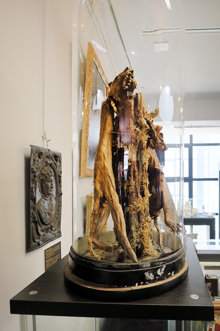 geneeskundemuseum brussel 8-2025 3111