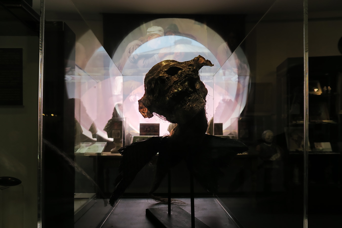 geneeskundemuseum brussel 8-2025 3121