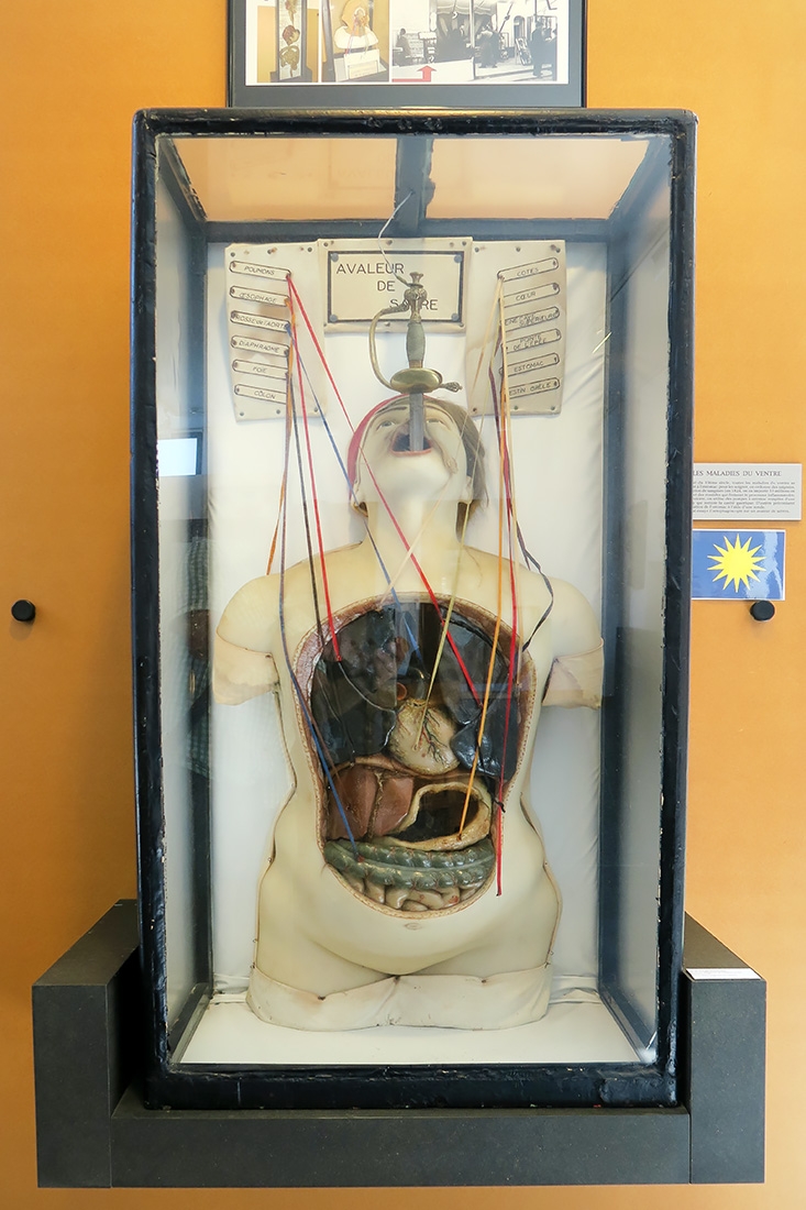 geneeskundemuseum brussel 8-2025 3157