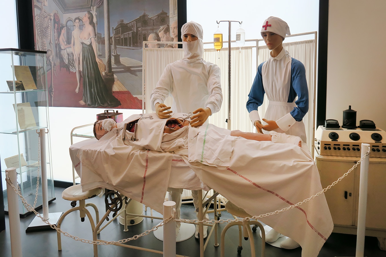 geneeskundemuseum brussel 8-2025 3172