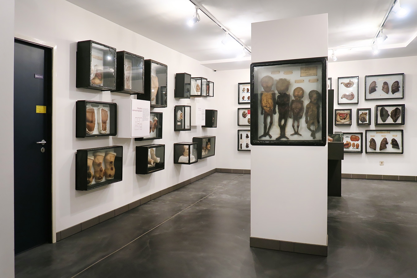 geneeskundemuseum brussel 8-2025 3173