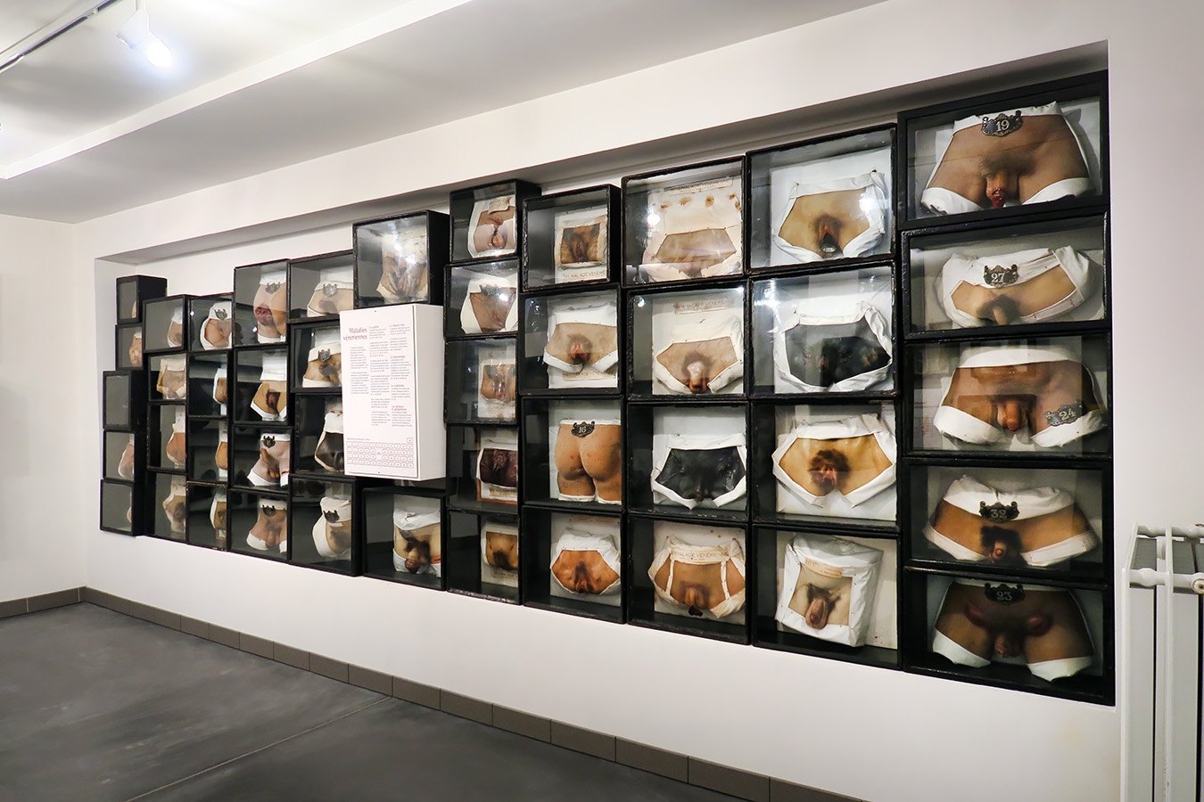 geneeskundemuseum brussel 8-2025 3175
