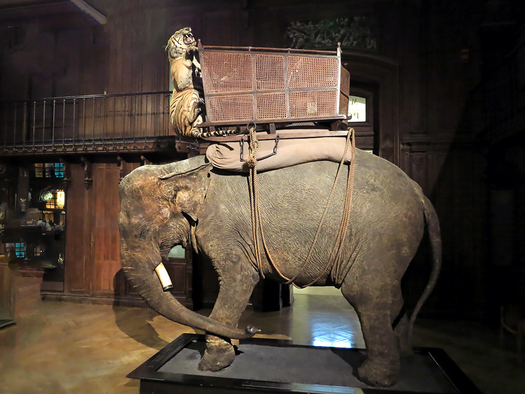 grande gallerie de evolution parijs 12-2015 8301