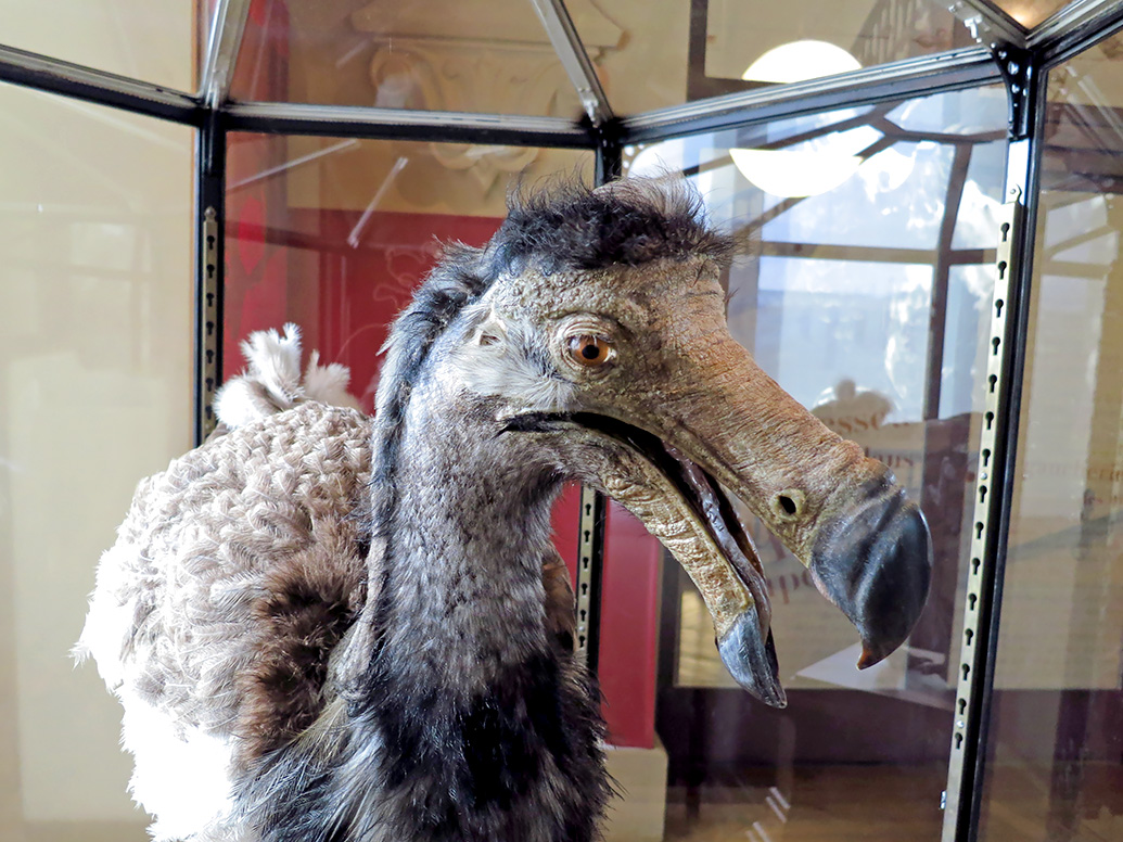 grande gallerie de evolution parijs 12-2015 8311