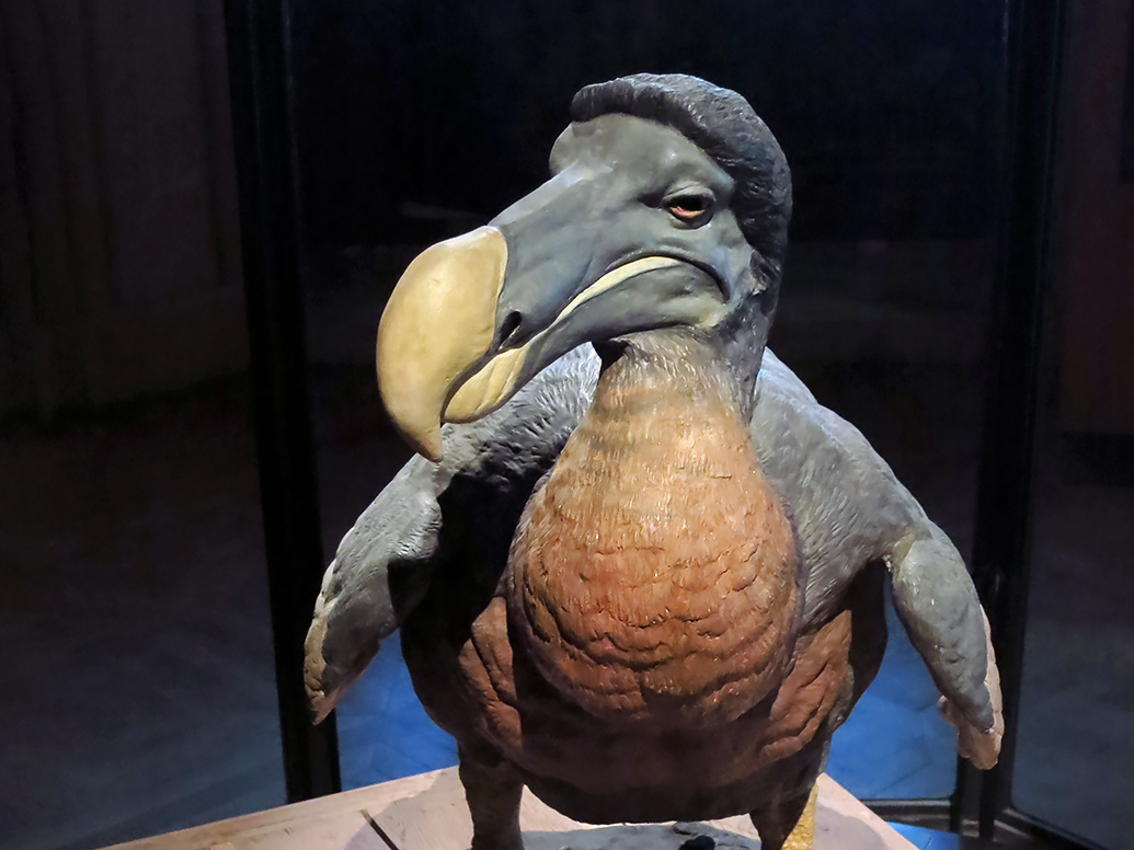 grande gallerie de evolution parijs 12-2015 8314