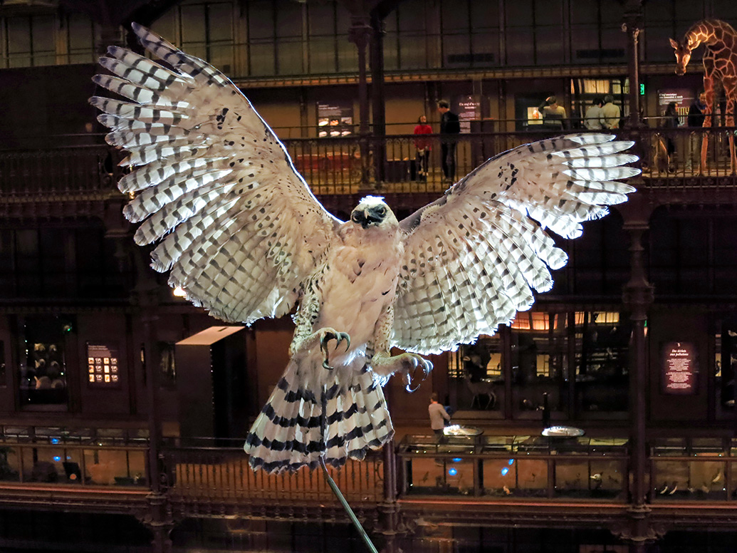 grande gallerie de evolution parijs 12-2015 8336