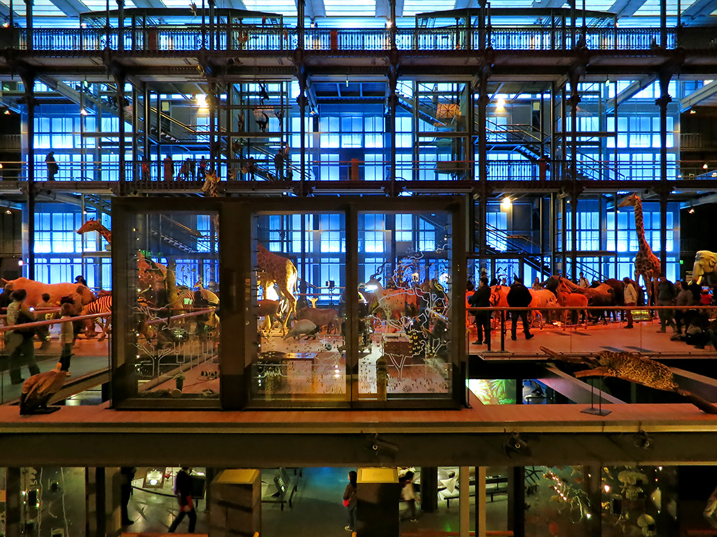 grande gallerie de evolution parijs 5-2013 1352